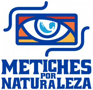 Logo-MPN-Bloque
