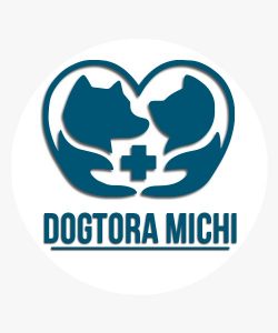 WhatsApp Image 2025-12-22 at 18.34.13