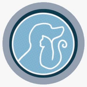 WhatsApp Image 2025-12-22 at 18.38.22